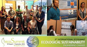 5th International Ecosummit - Source: [Author Unknown]. [Title Unknown]. Digital Image. Erica Key LinkedIn Page, [Date Published Unknown]