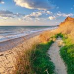 Coastal Grass - Source: Djgis. Way to the Beach Nature Composition. Digital Image. Shutterstock, [Date Published Unknown]